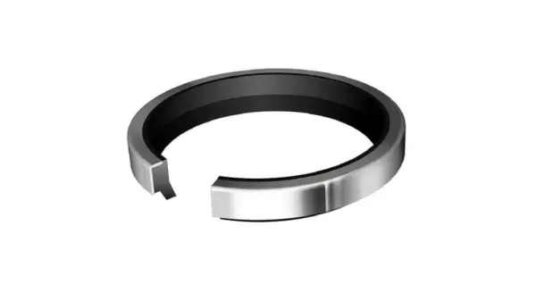 Метален чистач  DKB 25x35x7/10 NBR
